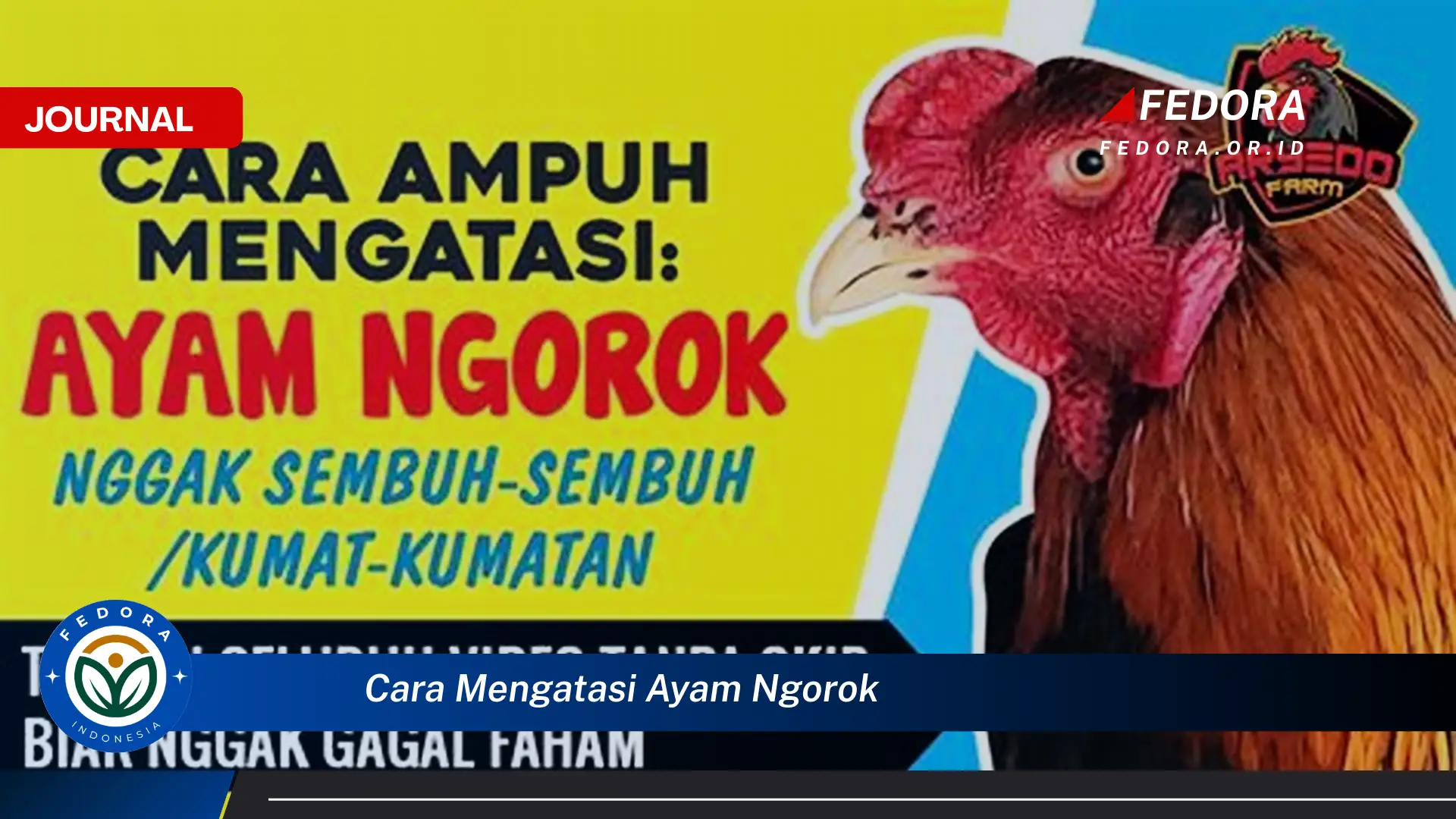 Ketahui Cara Mengatasi Ayam Ngorok Secara Cepat dan Efektif