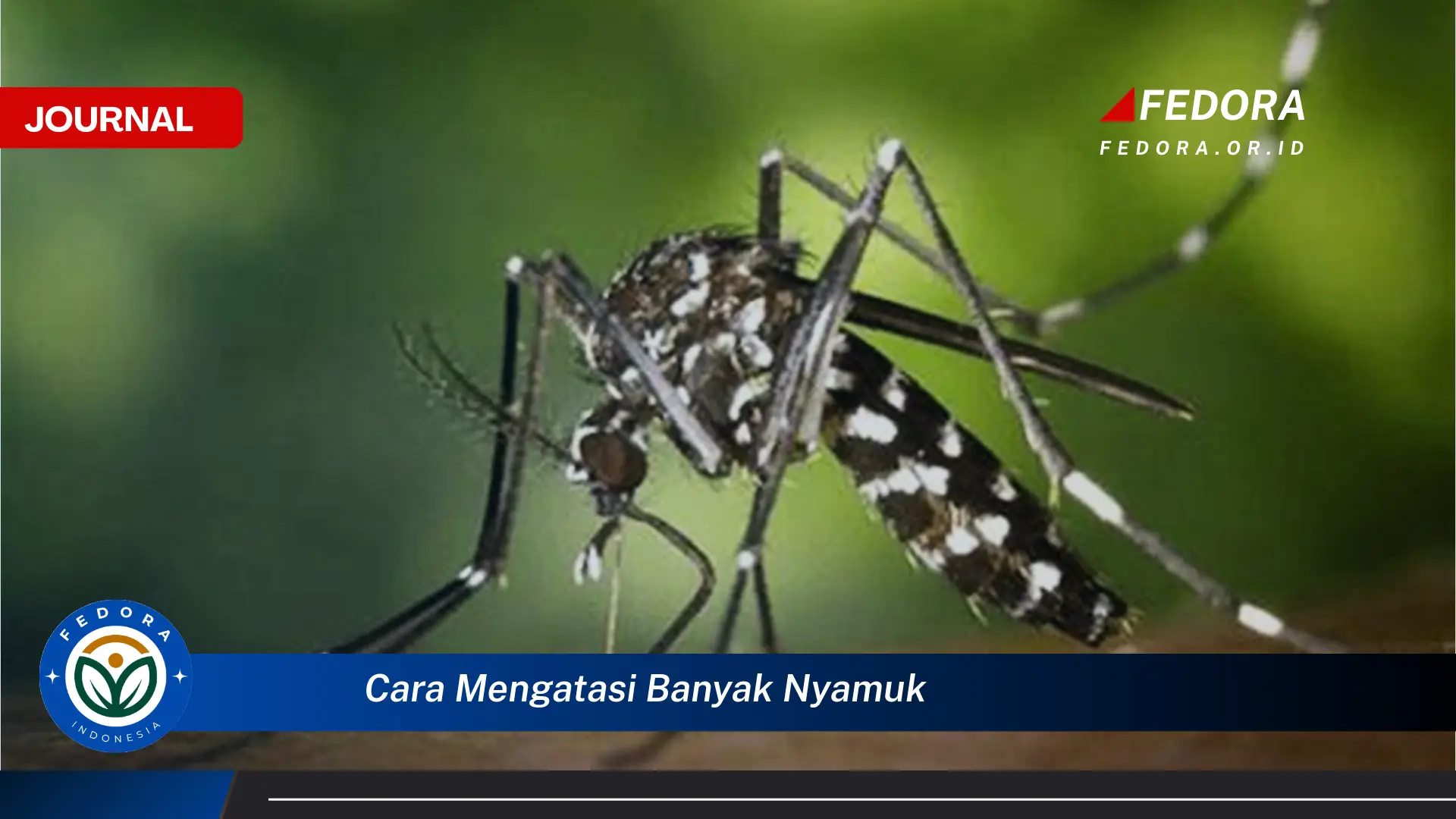 Ketahui Cara Mengatasi Banyak Nyamuk dengan Cepat dan Ampuh