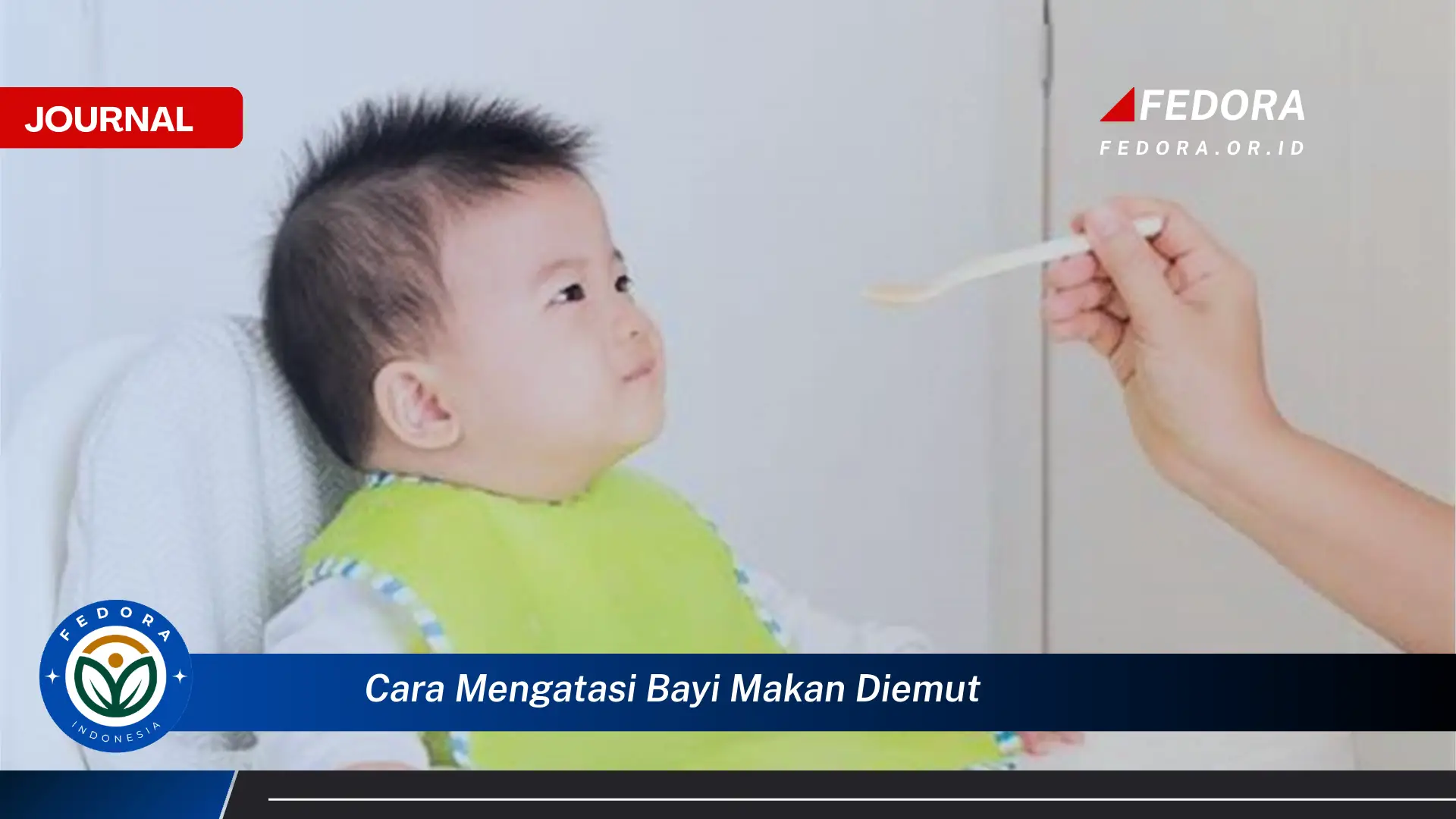 Inilah Cara Mengatasi Bayi Makan Diemut Agar Nutrisi Tercukupi Optimal