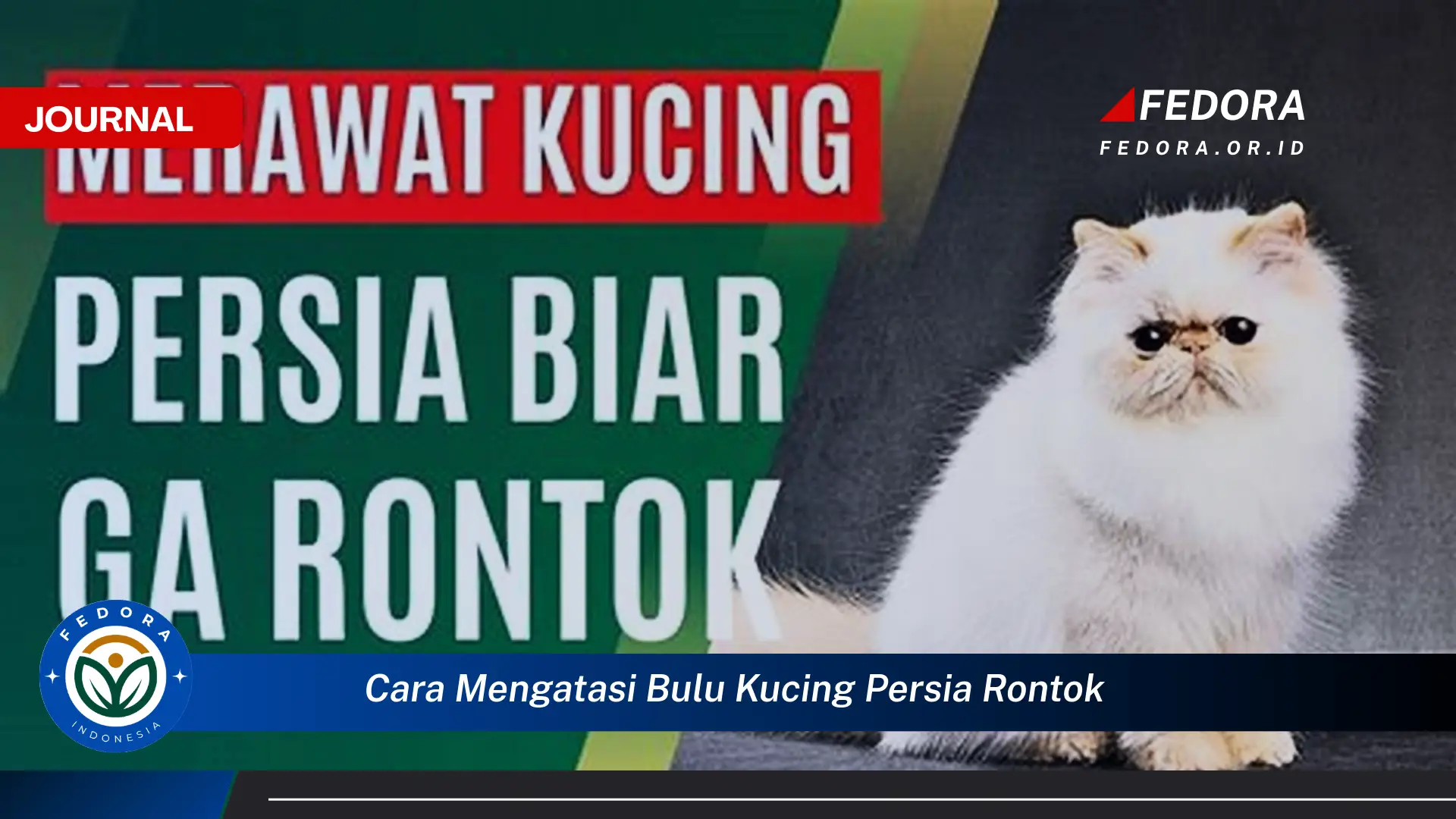 Ketahui Cara Mengatasi Bulu Kucing Persia Rontok Secara Efektif dan Alami