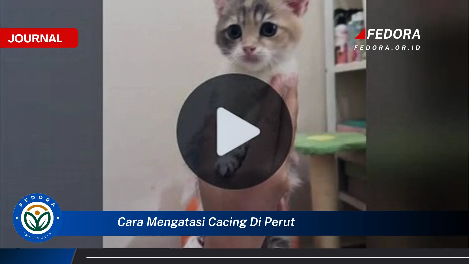 Temukan Cara Mengatasi Cacing di Perut Secara Alami dan Efektif Temukan Cara Mengatasi Cacing di Perut Secara Alami dan Efektif
