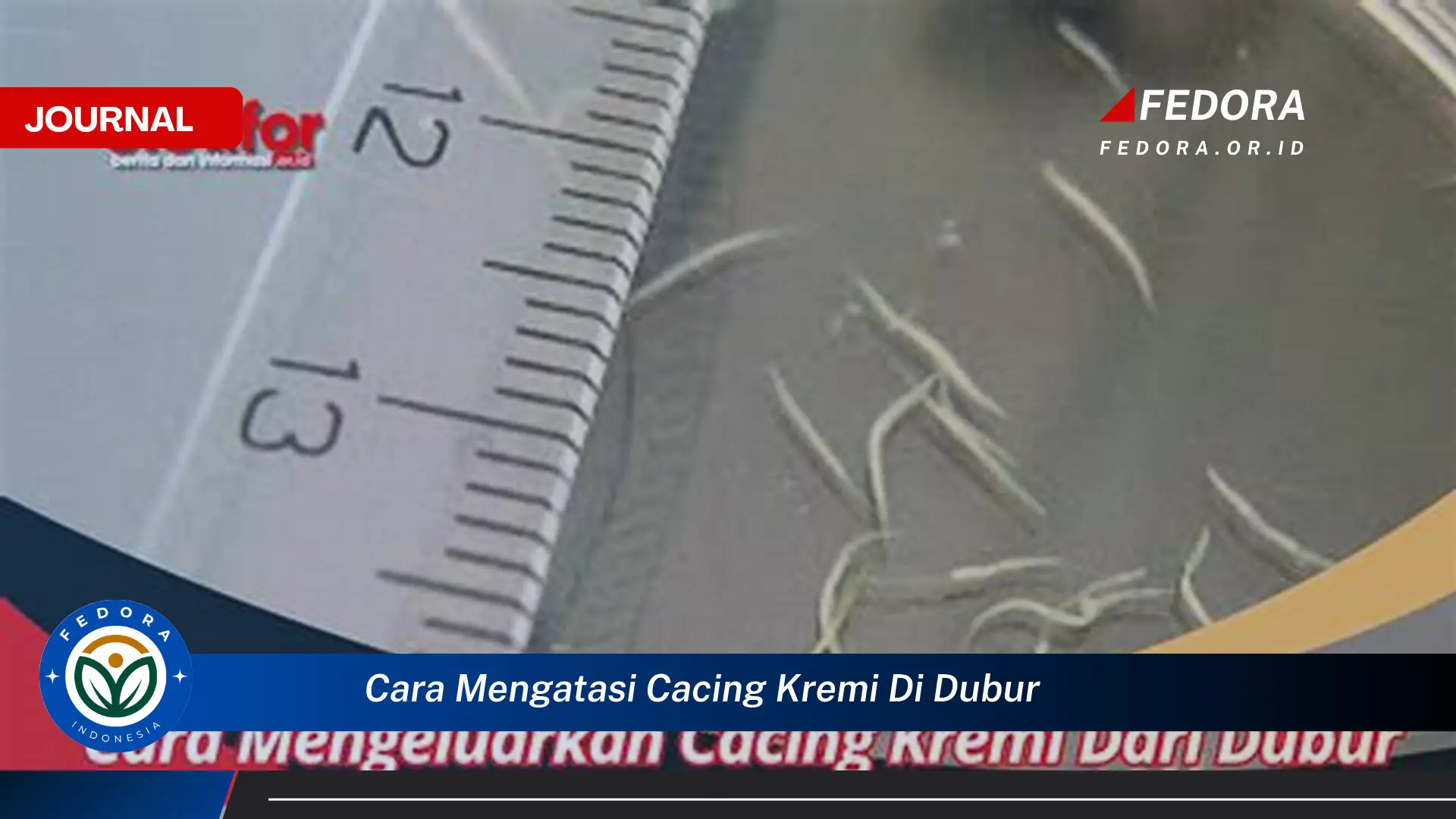 Ketahui Cara Mengatasi Cacing Kremi di Dubur Secara Alami dan Efektif