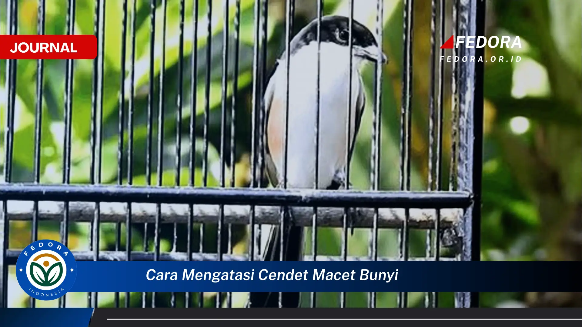 Inilah Cara Mengatasi Cendet Macet Bunyi, Panduan Lengkap dan Efektif