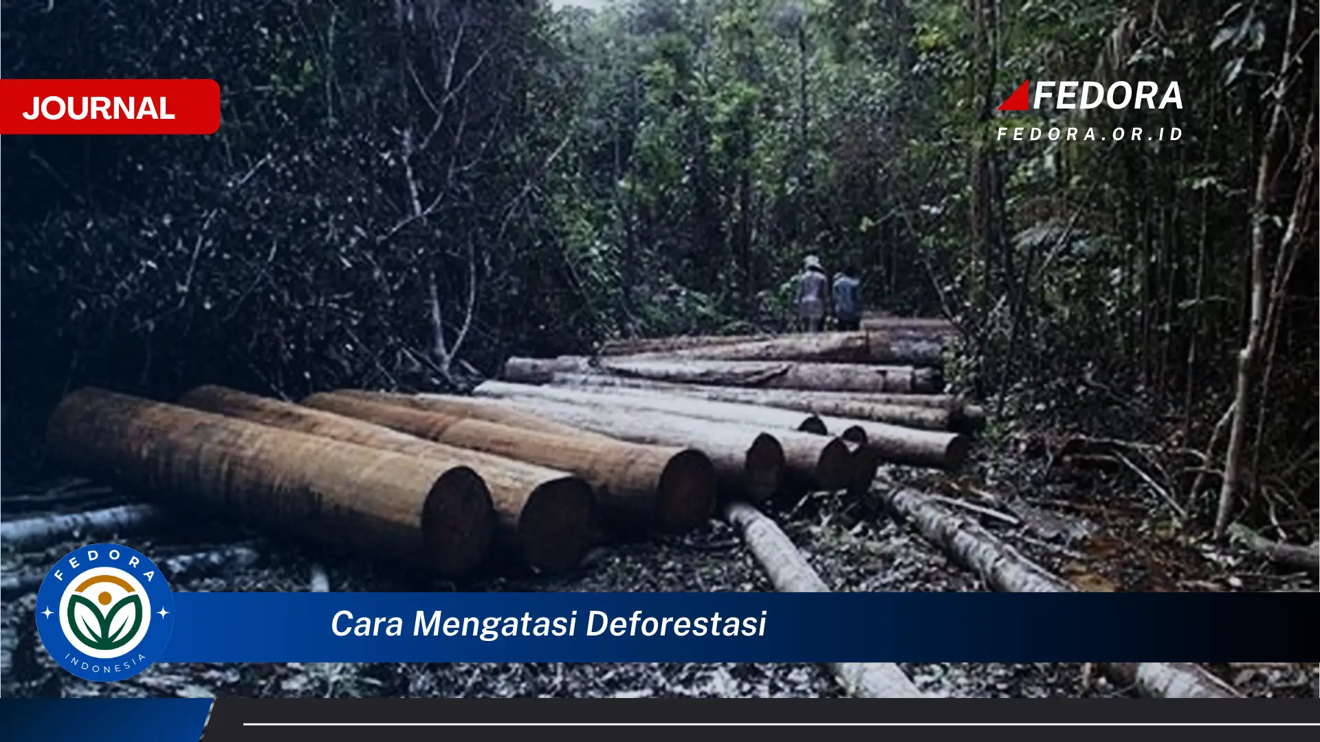 Inilah Cara, Cara Mengatasi Deforestasi dan Melindungi Hutan Kita untuk Masa Depan