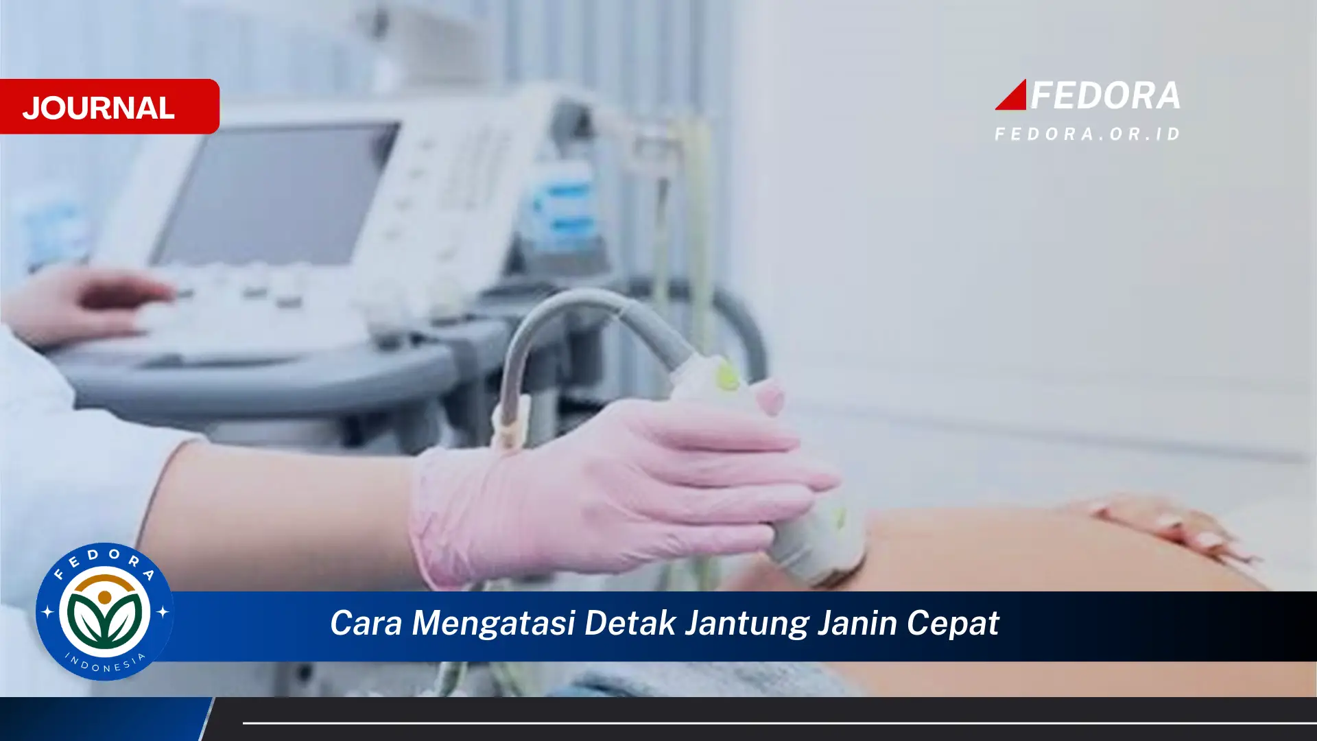 Ketahui Cara Mengatasi Detak Jantung Janin Cepat dan Menjaga Kesehatan Kehamilan