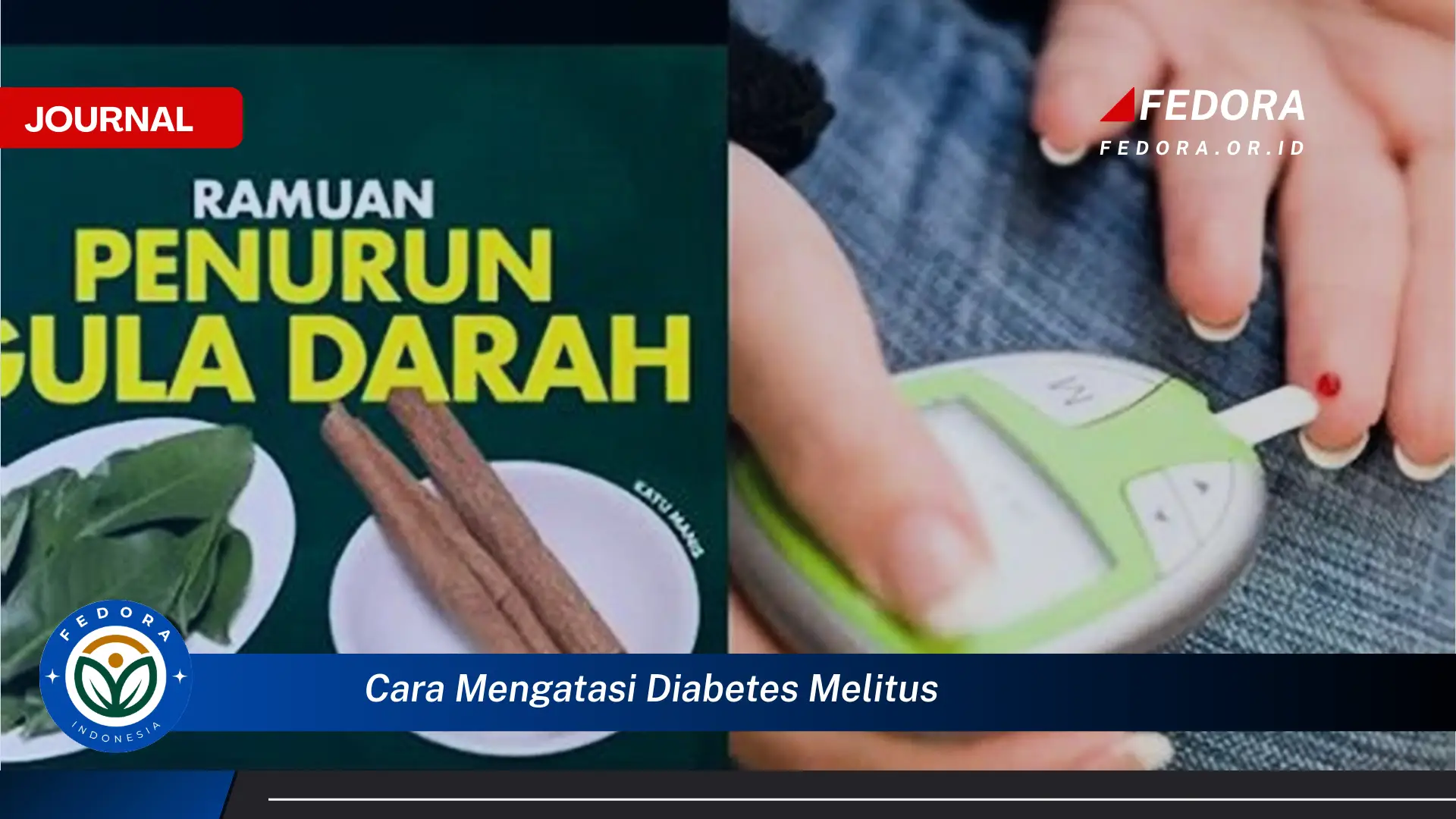 Ketahui Cara Mengatasi Diabetes Melitus dan Hidup Sehat