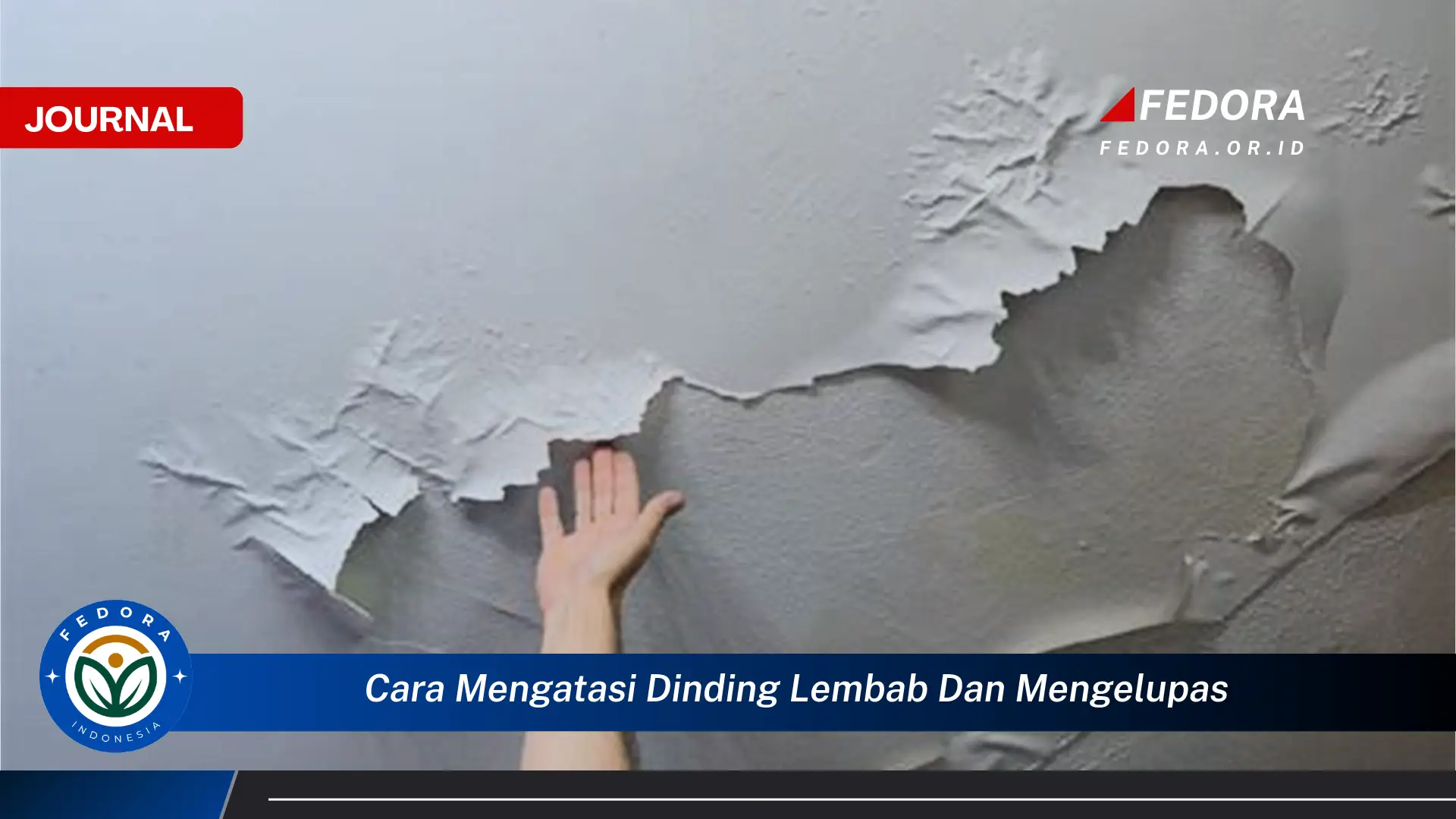 Ketahui Cara Mengatasi Dinding Lembab dan Mengelupas, Panduan Lengkap dan Efektif