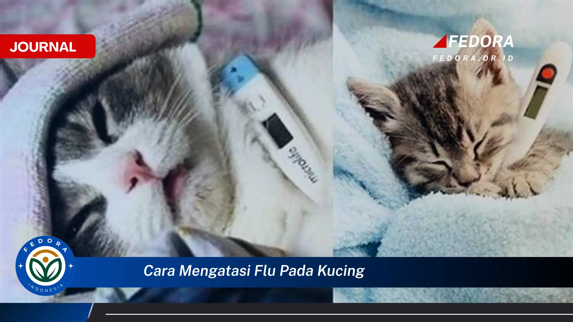 Ketahui Cara Mengatasi Flu pada Kucing, Panduan Lengkap dan Efektif