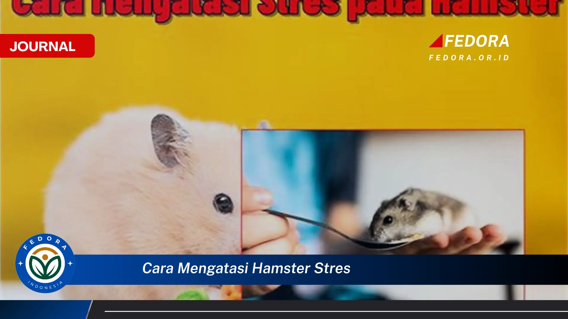 Ketahui Cara Mengatasi Hamster Stres dan Menjaga Kesehatan Mentalnya