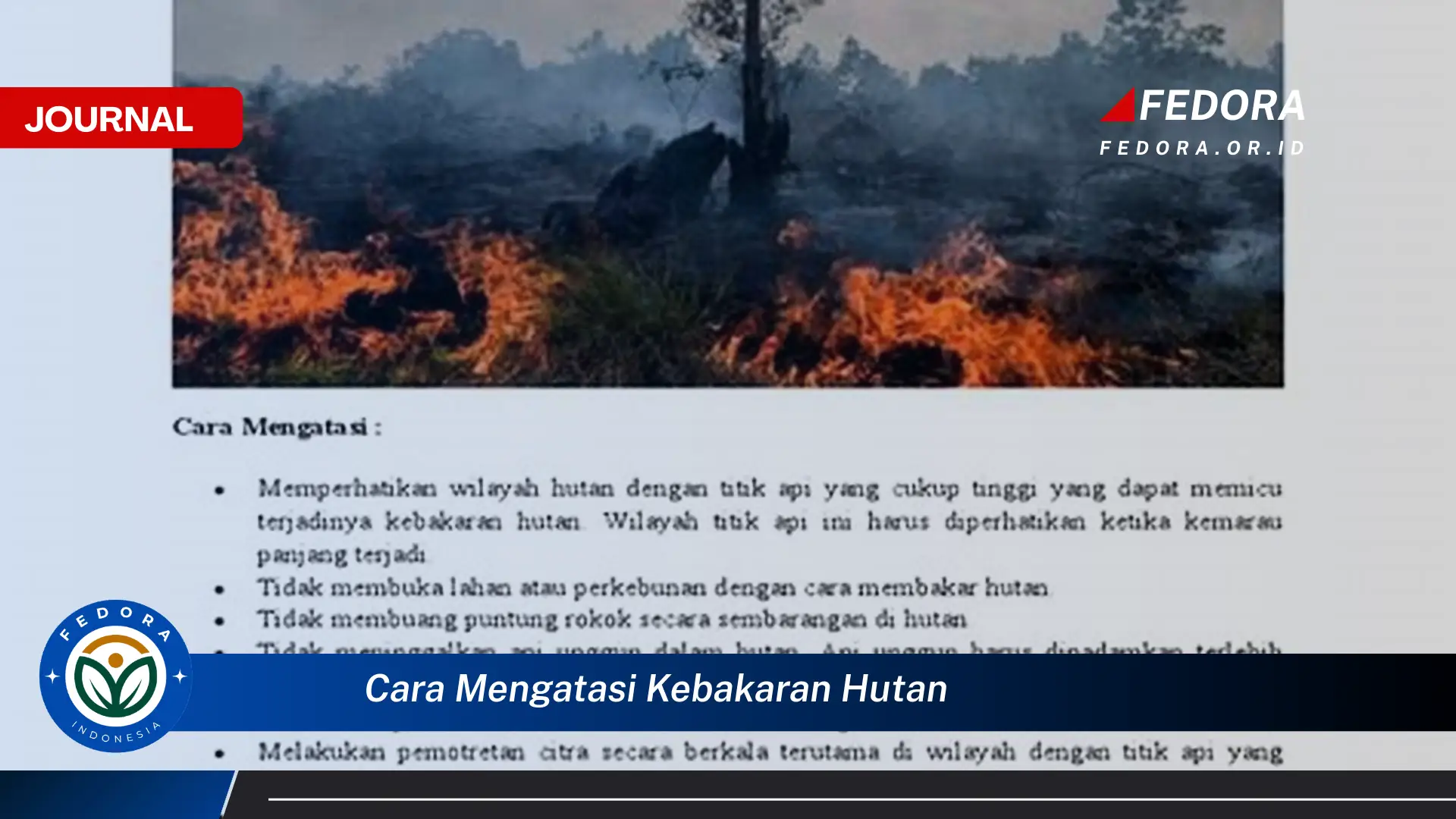 Ketahui Cara Ampuh Mengatasi Kebakaran Hutan dan Mencegahnya Terjadi Lagi
