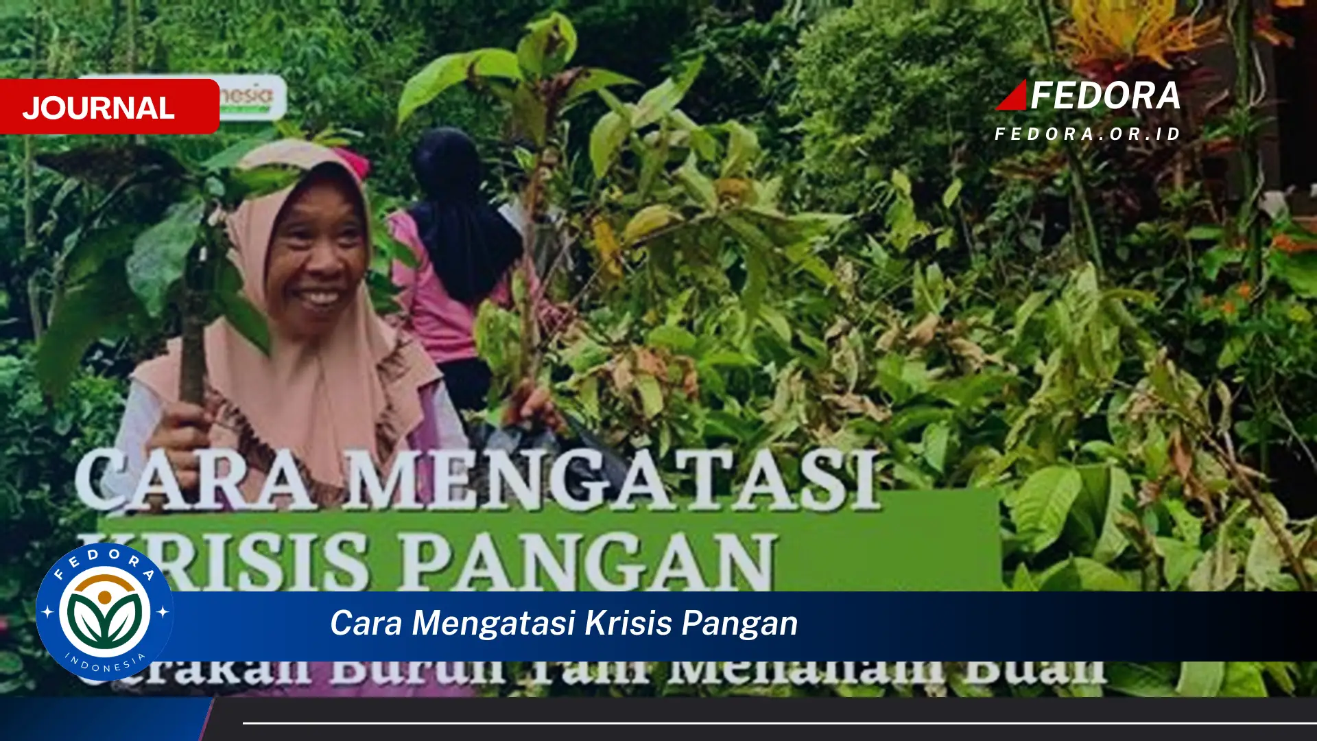 Langkah demi langkah, Cara Mengatasi Krisis Pangan Secara Efektif dan Berkelanjutan