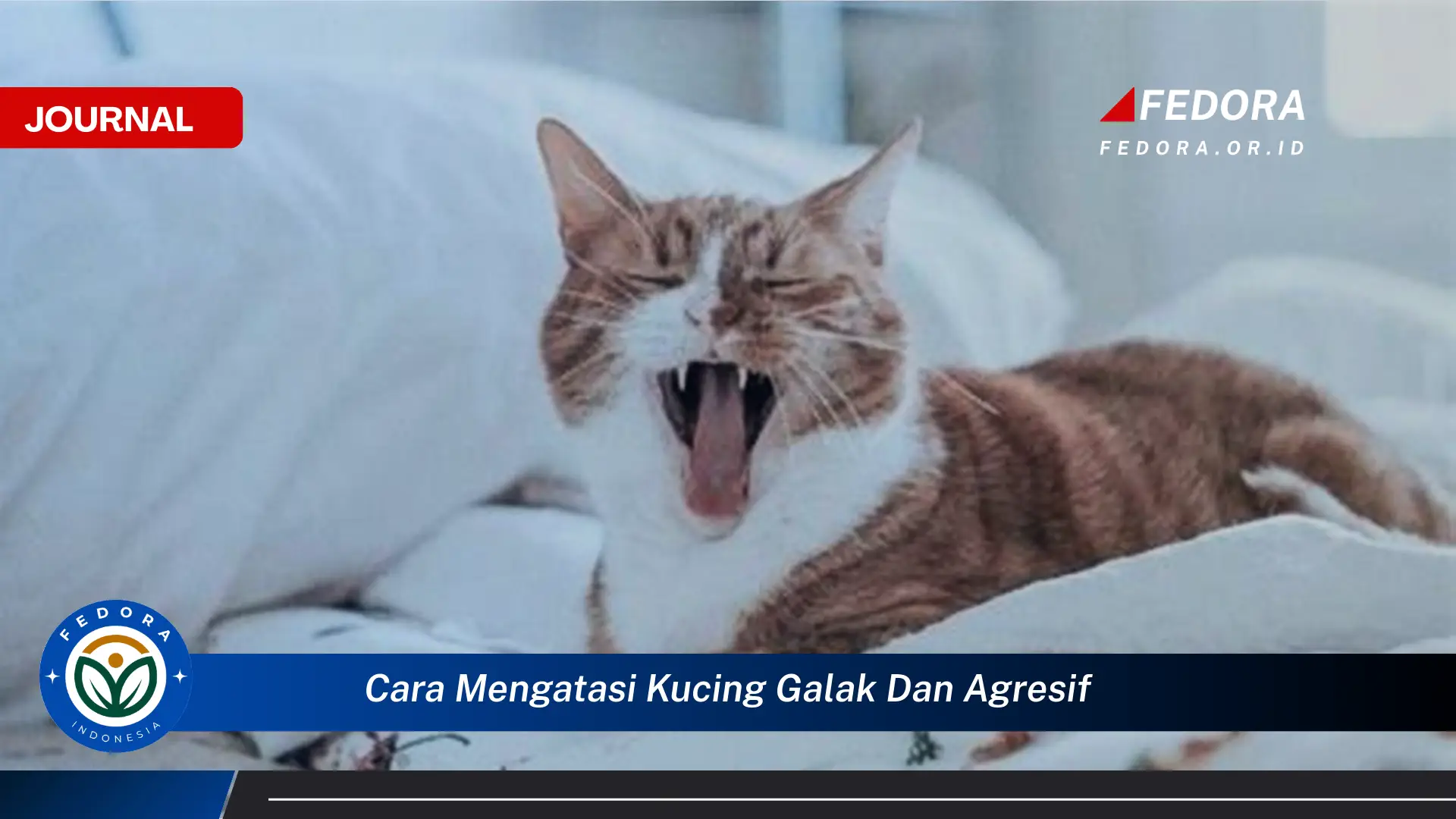 Ketahui Cara Mengatasi Kucing Galak dan Agresif Secara Efektif dan Aman