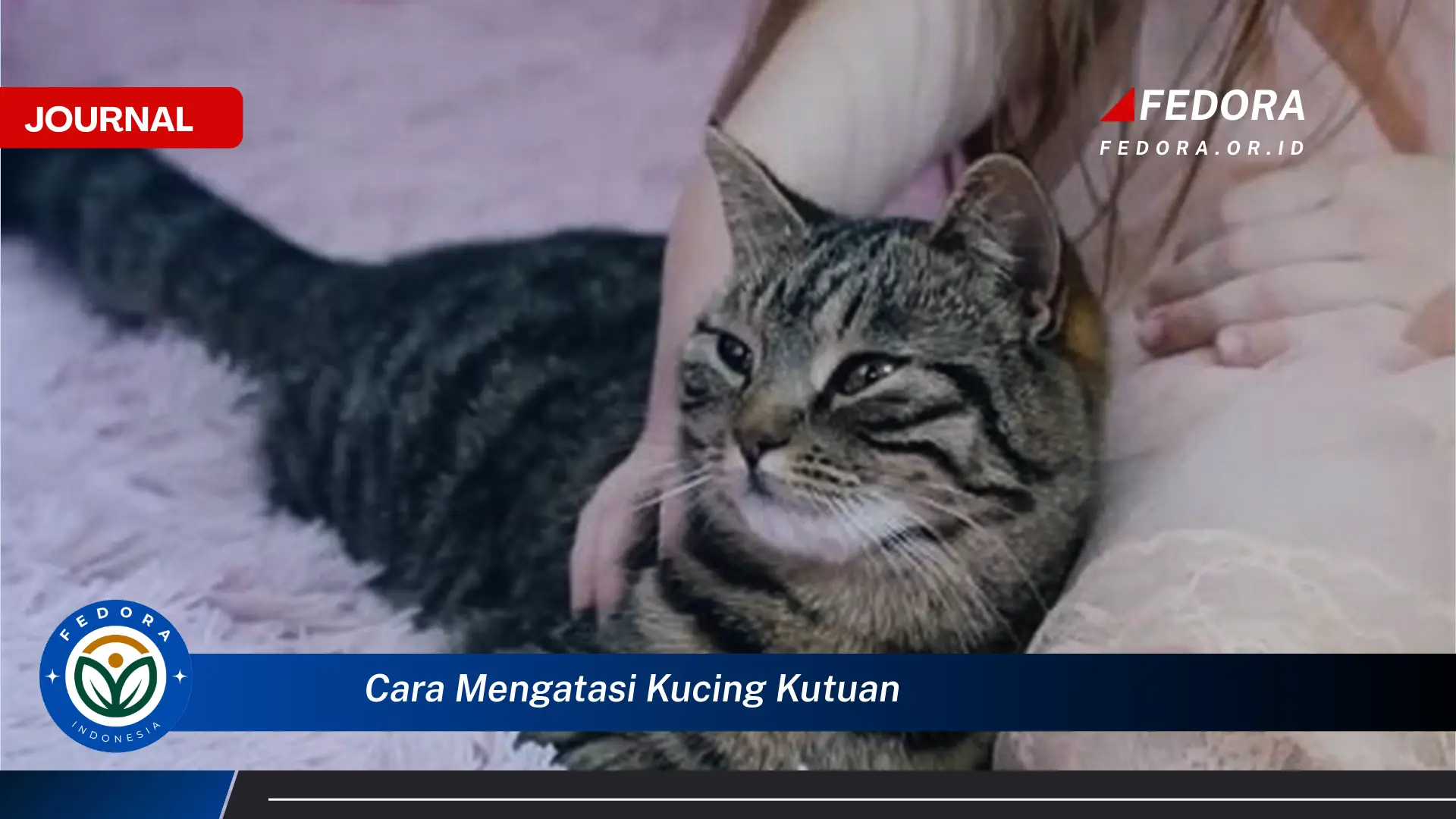 Ketahui Cara Mengatasi Kucing Kutuan dengan Cepat dan Efektif