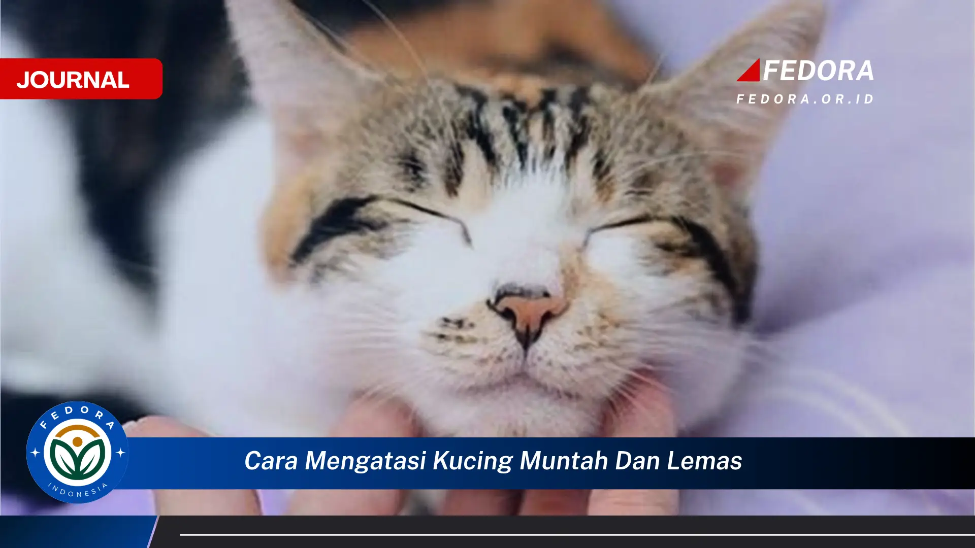 Ketahui Cara Mengatasi Kucing Muntah dan Lemas Secara Efektif di Rumah