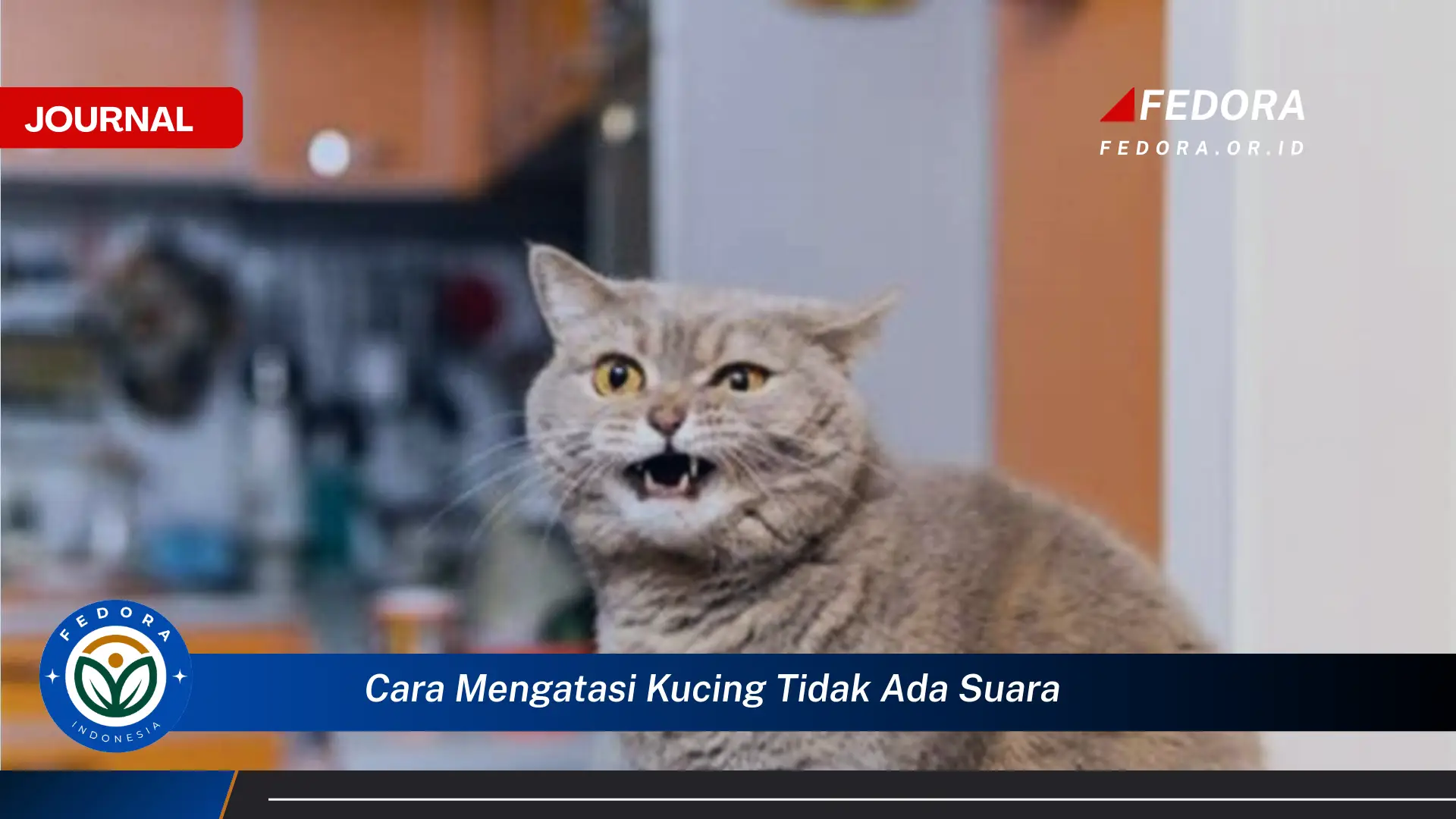 Temukan Cara Mengatasi Kucing Tidak Bersuara dan Mengembalikan Suara Mereka