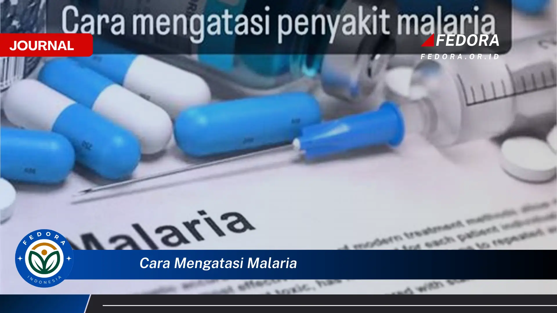 Ketahui Cara Mengatasi Malaria, Panduan Lengkap dan Efektif