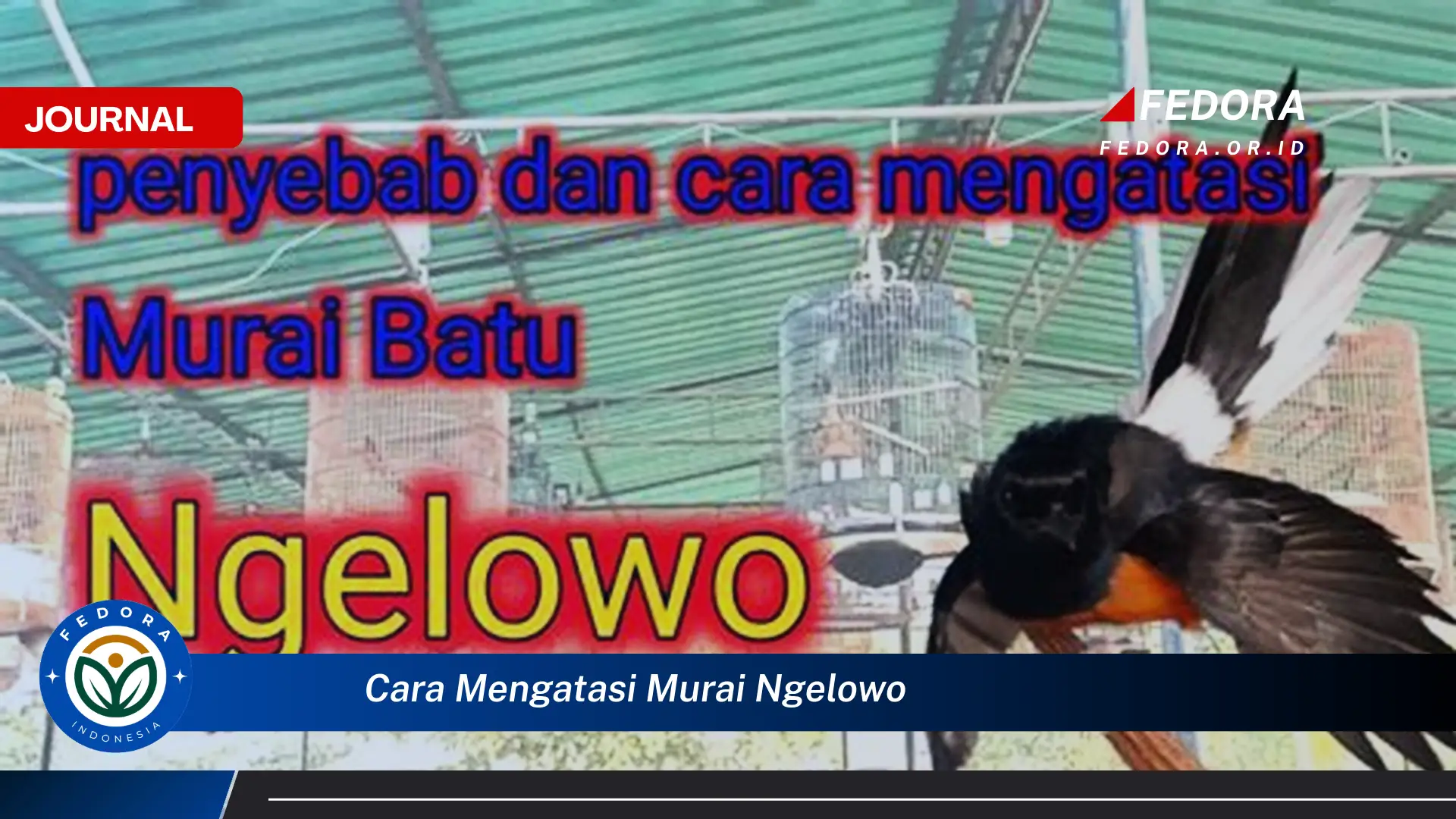 Ketahui Cara Mengatasi Murai Ngelowo Secara Efektif dan Alami