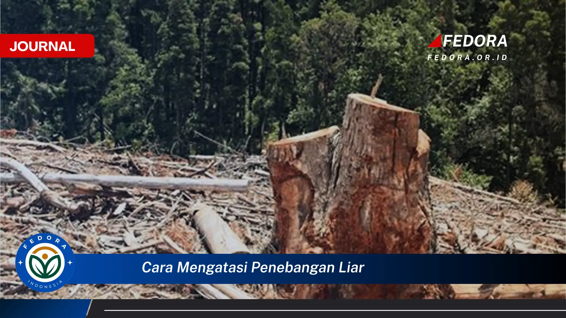 Inilah Cara Mengatasi Penebangan Liar, Solusi Efektif untuk Melindungi Hutan Kita