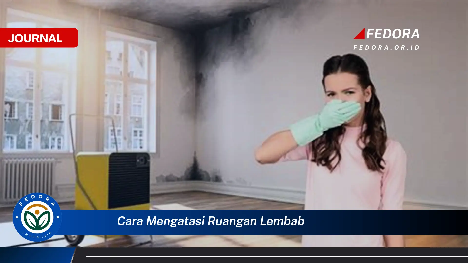 Ketahui Cara Mengatasi Ruangan Lembab Secara Efektif dan Alami