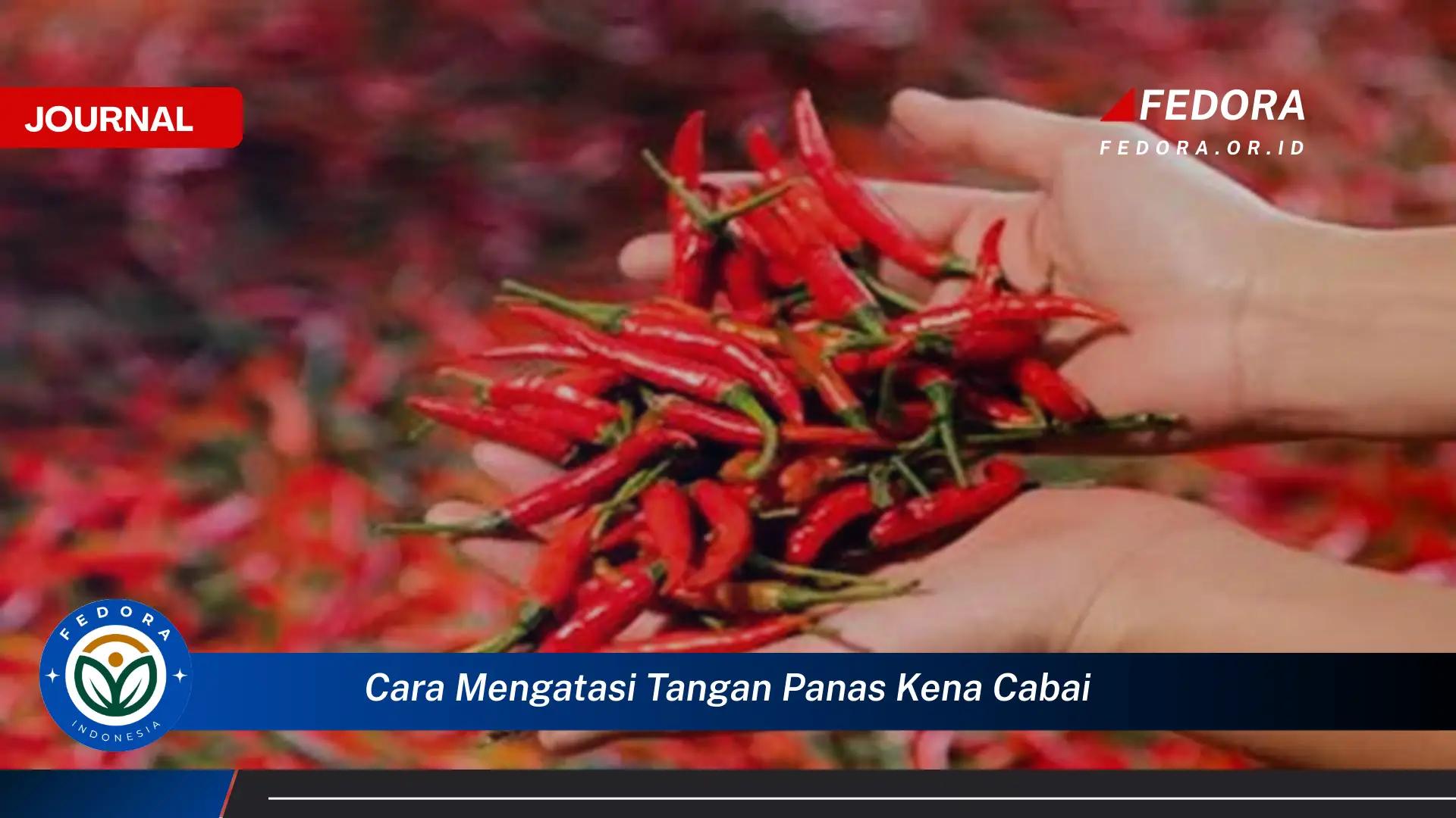 Ketahui Cara Mengatasi Tangan Panas Kena Cabai dengan Cepat dan Efektif
