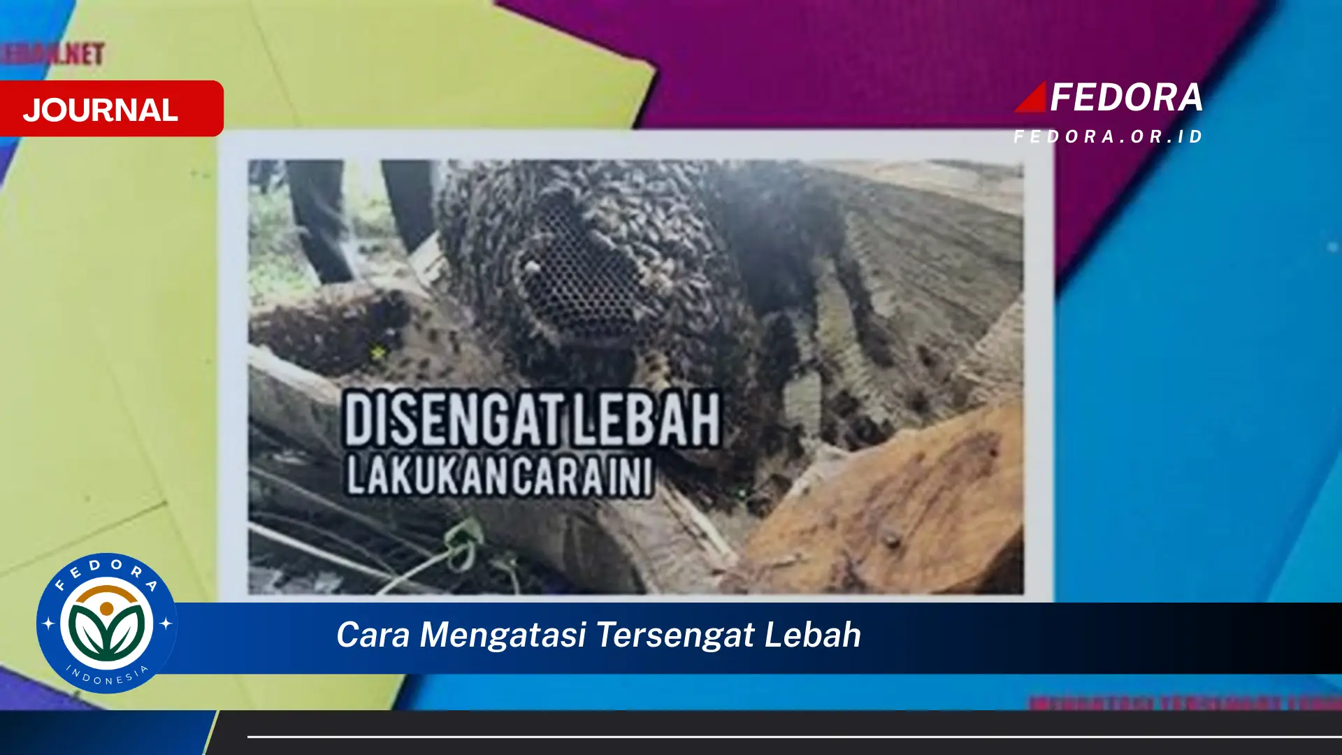 Ketahui Cara Mengatasi Tersengat Lebah, Pertolongan Pertama yang Cepat dan Efektif