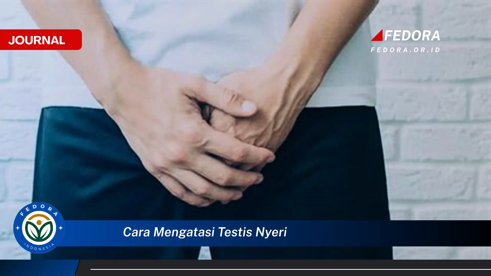 Ketahui Cara Mengatasi Testis Nyeri, Penyebab, Gejala, dan Pengobatan Rumahan