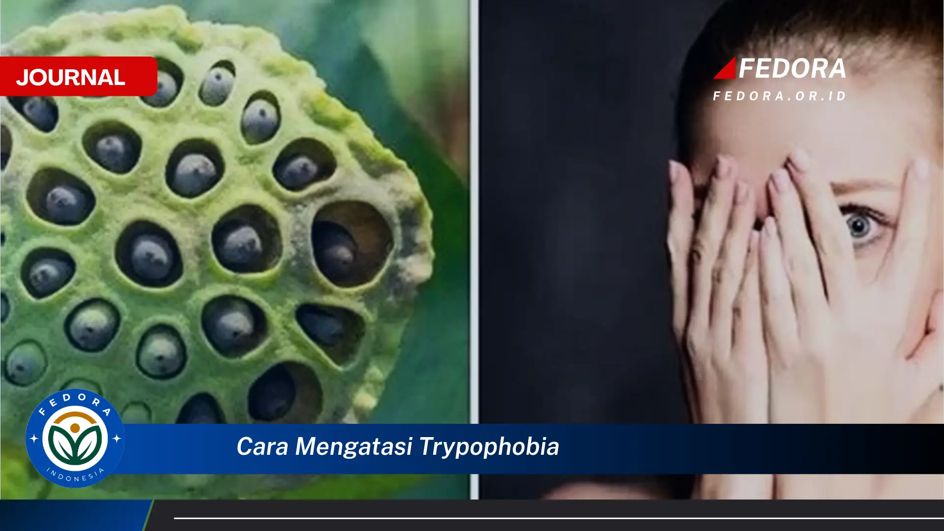 Ketahui Cara Mengatasi Trypophobia, Panduan Lengkap dan Langkah,Langkah Efektif