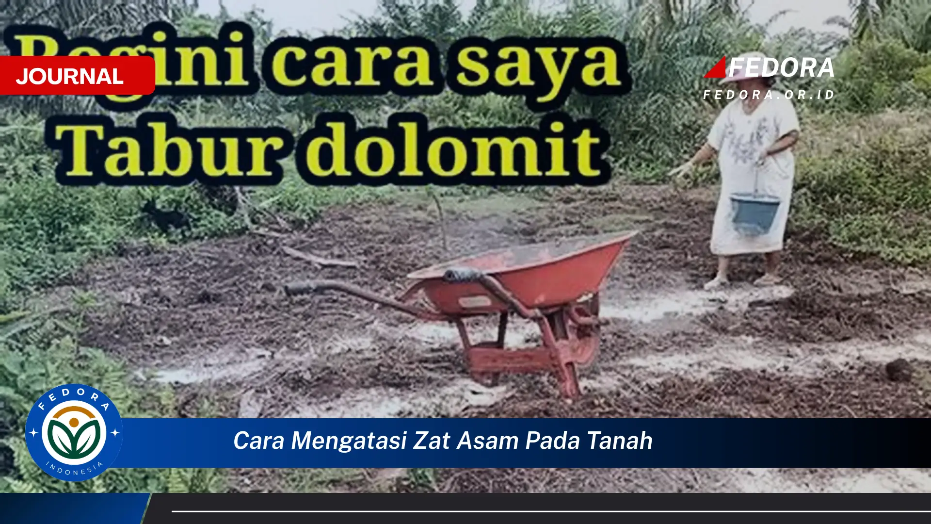 Ketahui Cara Mengatasi Zat Asam Pada Tanah Secara Efektif dan Alami Ketahui Cara Mengatasi Zat Asam Pada Tanah Secara Efektif dan Alami